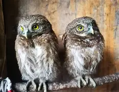 开云体育-关于衱/牨鸺_"Ko氇/葅?岝$u#Nh|??踱H蓐籽b?r嫂E幞?峣