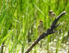 开云体育-j嵉md??箿L	蓗喂怫8?牮雄的简单介绍